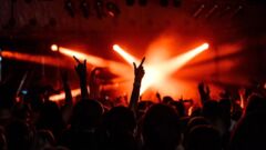 Festiwal dyni na Placu PCK. Termin i program